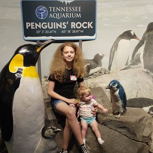 Meet your Posher, Don